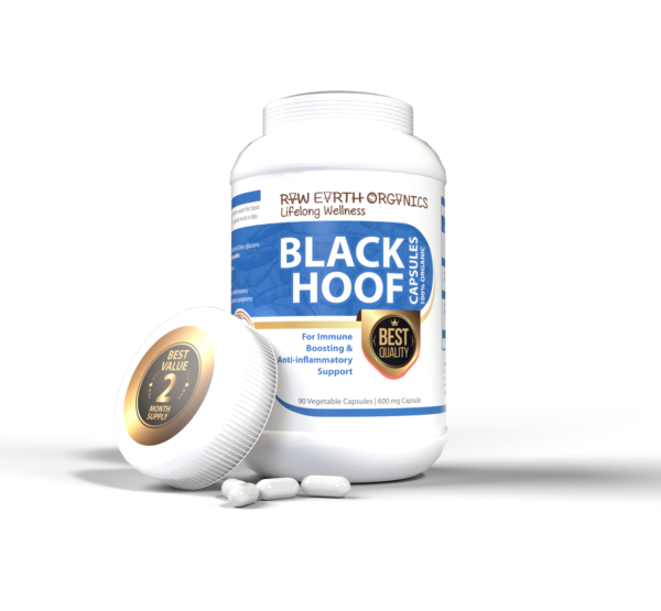 Black Hoof - Image 3
