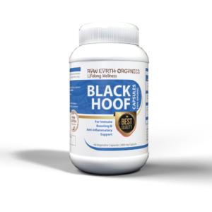 Black Hoof