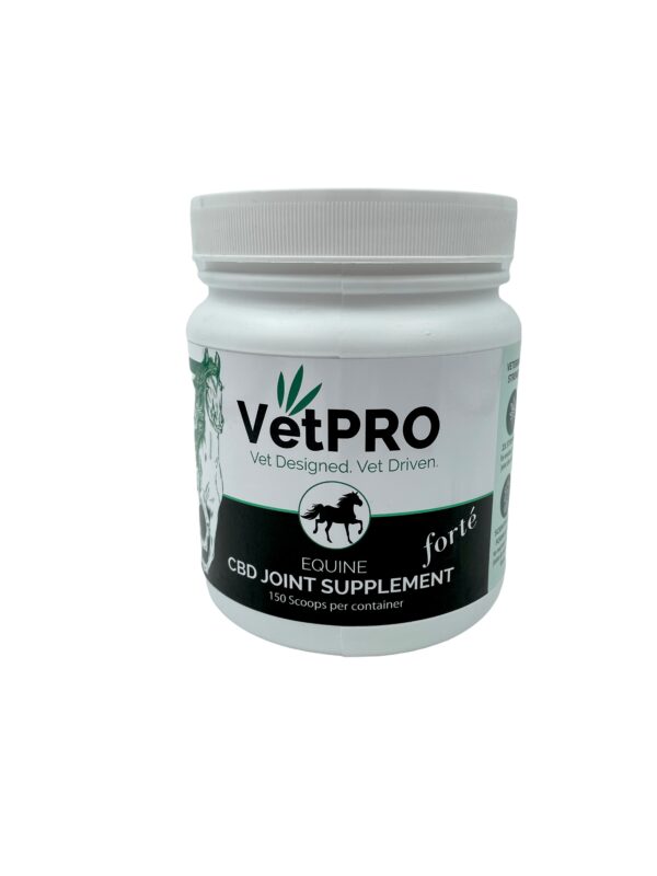 VetPro - Equine CBD Joint Support FORTE