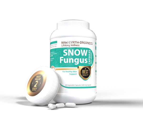 Snow Fungus - Image 3