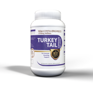 Turkey Tail