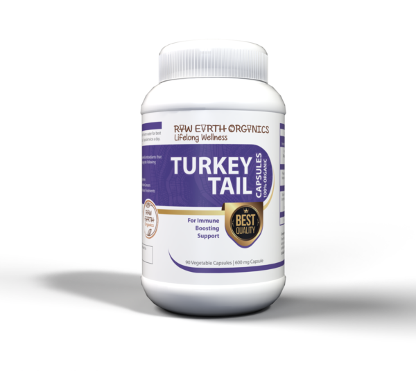Turkey Tail